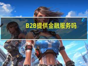B2B提供金融服务吗