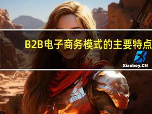 B2B电子商务模式的主要特点