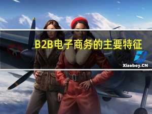 B2B电子商务的主要特征
