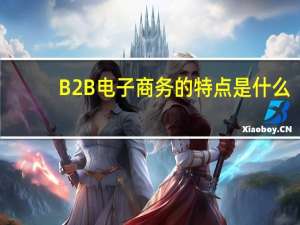 B2B电子商务的特点是什么