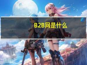 B2B网是什么