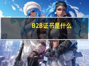 B2B证书是什么