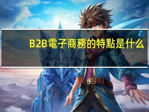 B2B電子商務的特點是什么