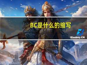 BC是什么的缩写