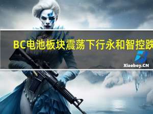 BC电池板块震荡下行永和智控跌停