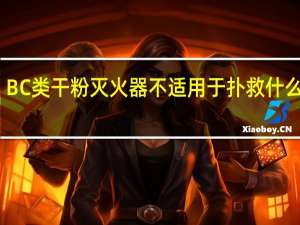 BC类干粉灭火器不适用于扑救什么火灾