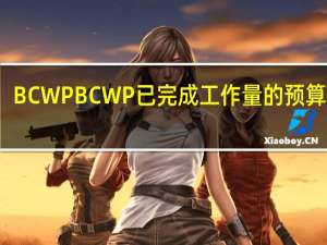 BCWPBCWP 已完成工作量的预算费用