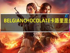 BELGIAN CHOCOLATE卡路里是多少