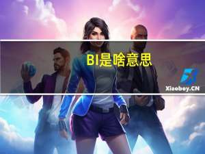 BI是啥意思