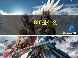 BIC是什么