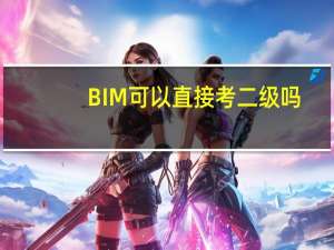 BIM可以直接考二级吗