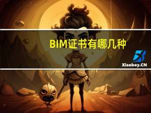 BIM证书有哪几种