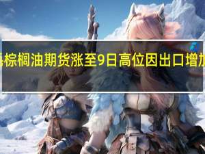 BMD毛棕榈油期货涨至9日高位因出口增加及马币走疲