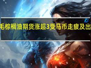 BMD毛棕榈油期货涨超3%受马币走疲及出口改善支撑