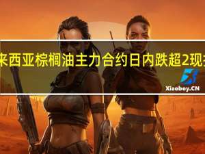 BMD马来西亚棕榈油主力合约日内跌超2%现报3781林吉特/吨