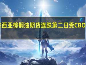 BMD 马来西亚棕榈油期货连跌第二日受CBOT 豆油颓势拖累