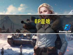 BP是啥