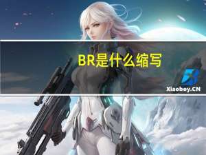 BR是什么缩写