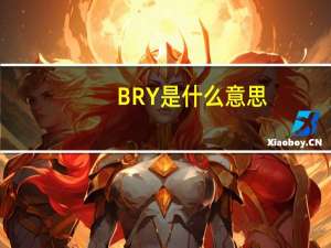 BRY是什么意思