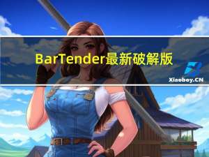 BarTender最新破解版(含激活码) V2022 中文免费版（BarTender最新破解版(含激活码) V2022 中文免费版功能简介）