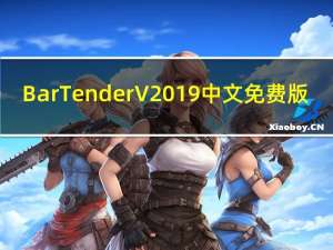BarTender V2019 中文免费版（BarTender V2019 中文免费版功能简介）