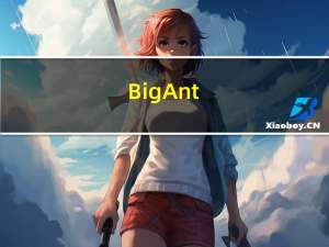 BigAnt(大蚂蚁)客户端 V5.0 官方版（BigAnt(大蚂蚁)客户端 V5.0 官方版功能简介）