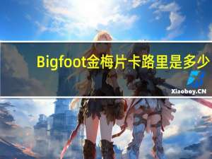 Big foot 金梅片卡路里是多少