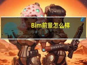 Bim前景怎么样