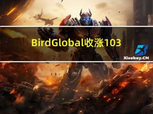 Bird Global（BRDS）收涨103.64%报1.43美元