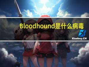 Bloodhound是什么病毒