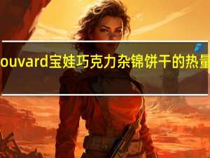 Bouvard 宝娃巧克力杂锦饼干的热量是多少