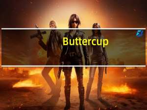 Buttercup(账号密码管理器) V1.11.0 官方版（Buttercup(账号密码管理器) V1.11.0 官方版功能简介）