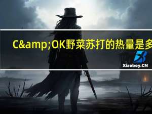 C&OK 野菜苏打的热量是多少