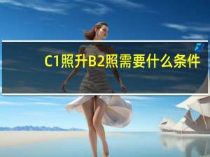 C1照升B2照需要什么条件