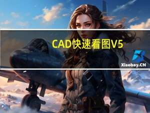 CAD快速看图 V5.9.3.59 VIP破解版（CAD快速看图 V5.9.3.59 VIP破解版功能简介）