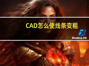 CAD怎么使线条变粗
