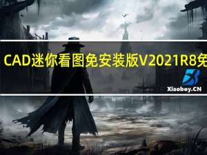 CAD迷你看图免安装版 V2021R8 免费版（CAD迷你看图免安装版 V2021R8 免费版功能简介）