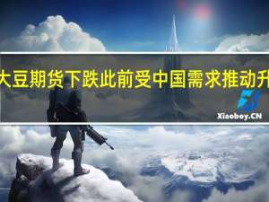 CBOT大豆期货下跌此前受中国需求推动升至11周高位