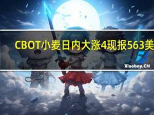 CBOT小麦日内大涨4%现报563美分/蒲式耳