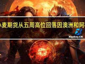 CBOT小麦期货从五周高位回落因澳洲和阿根廷天气改善