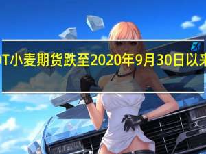 CBOT小麦期货跌至2020年9月30日以来的最低点