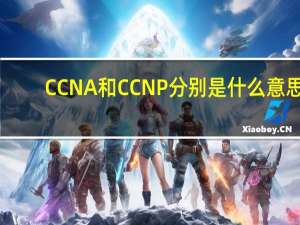 CCNA和CCNP分别是什么意思