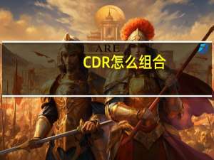 CDR怎么组合