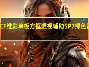 CF维影单板方框透视辅助 SP7 绿色最新版（CF维影单板方框透视辅助 SP7 绿色最新版功能简介）
