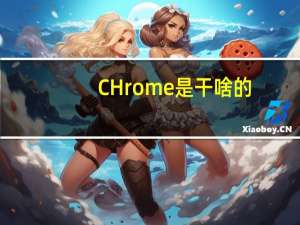 CHrome是干啥的
