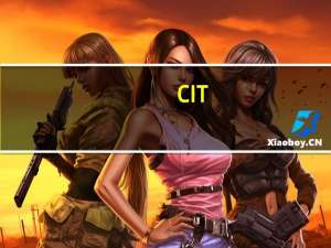 CIT，VAT，BT，IIT各指的那种税的英文缩写