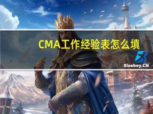 CMA工作经验表怎么填