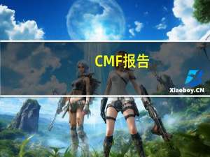 CMF报告：美国以“去风险”推动新冷战是世界最大风险