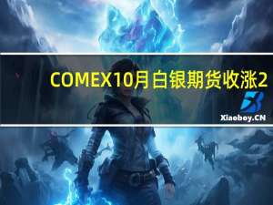 COMEX 10月白银期货收涨2.18%报24.901美元/盎司COMEX 12月白银期货收涨2.17%报25.139美元/盎司