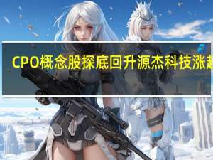 CPO概念股探底回升 源杰科技涨超10%